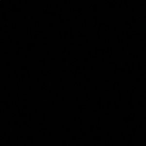 Meet your Posher, Lola